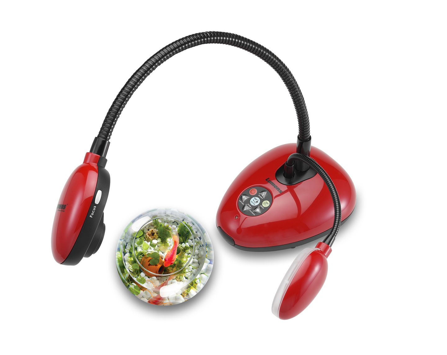 ladibug doc camera