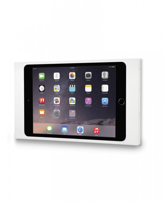 iPort iPad Surface Mount System