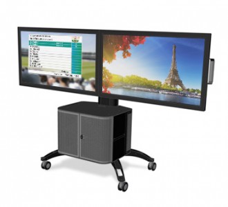 Dual Mobile Plasma Display Stand with Cabinet