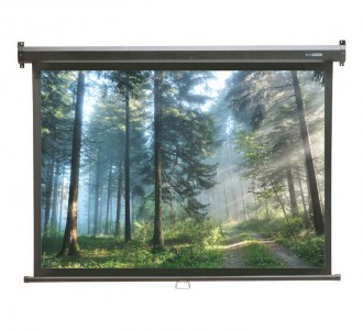 Redleaf Presenter Hanging Screen