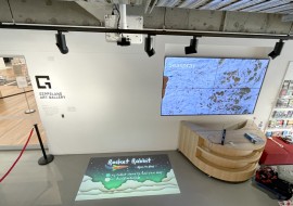 Gippsland Art Gallery – Lumo Play Interactive Floor