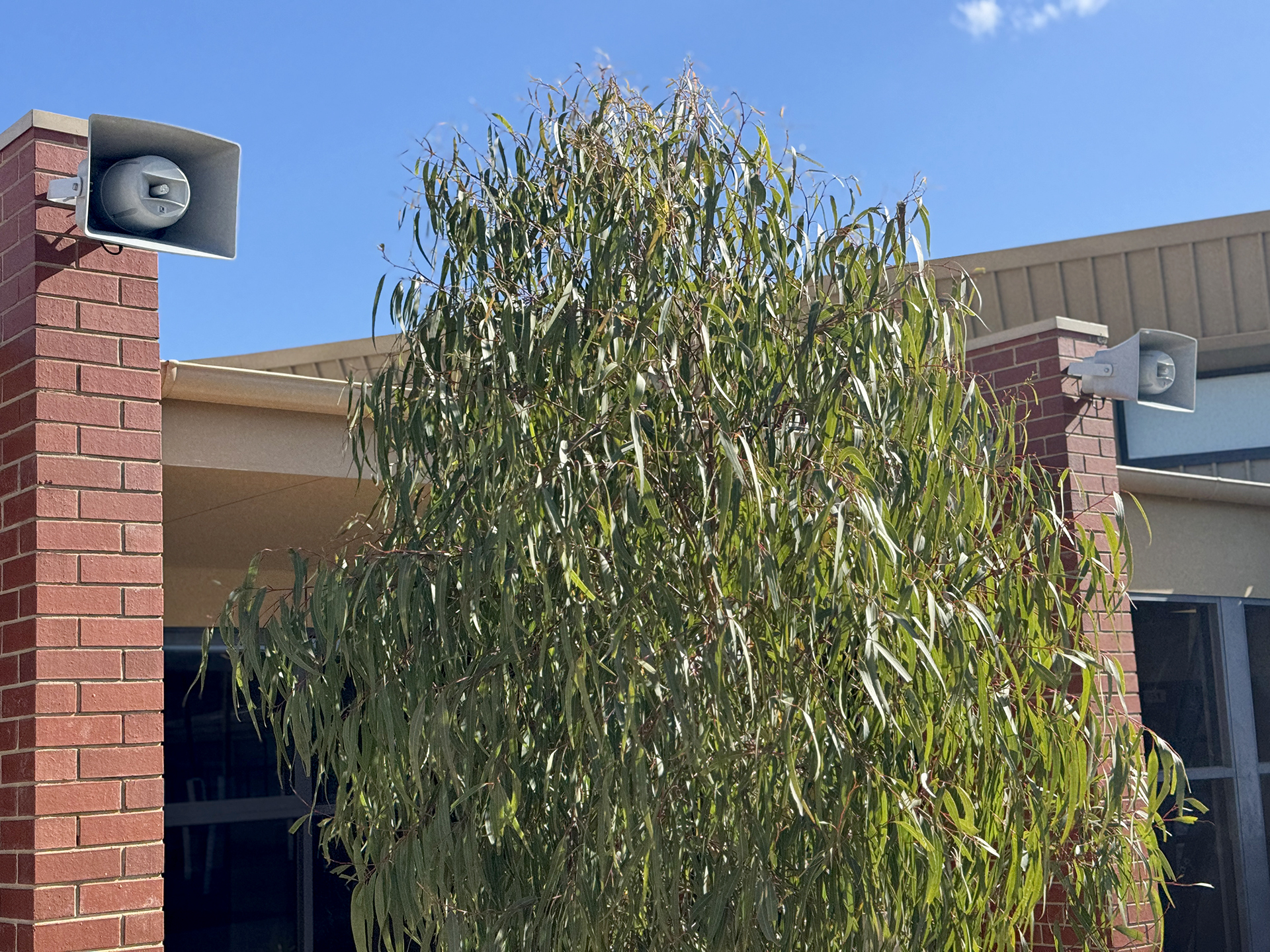 Case Study: St Carlo Borromeo Primary School - Audio Upgrade in Melbourne, Australia