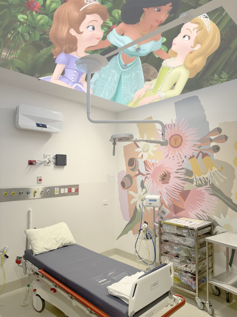 Case Study: Tweed Valley Hospital - Epson Projection & Sensory Content Case Study: Tweed Valley Hospital - Epson Projection & Sensory Content
